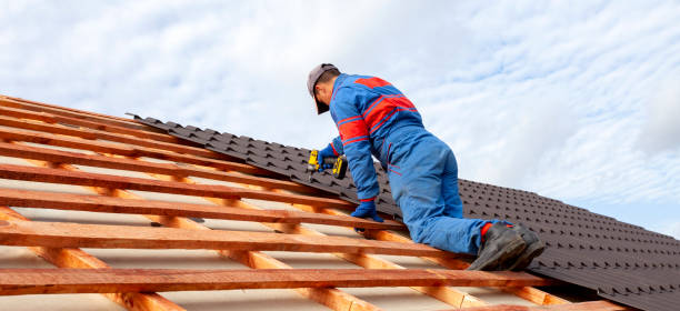 Best Roof Maintenance and Cleaning  in Bel Air South, MD