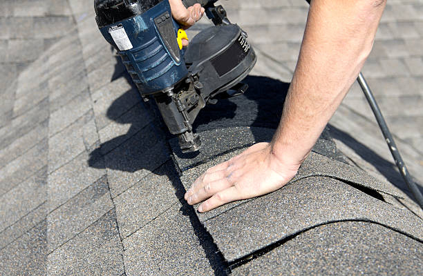 Best Roof Moss and Algae Removal  in Bel Air South, MD